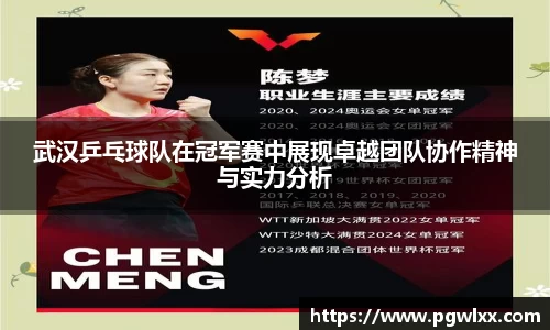 武汉乒乓球队在冠军赛中展现卓越团队协作精神与实力分析